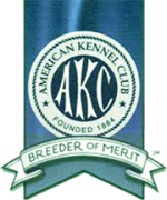 akc-breeder-of-merit.png